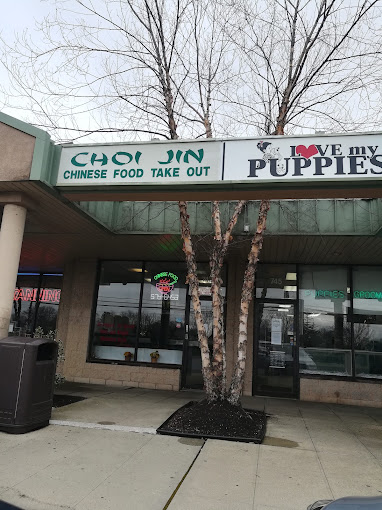 Choi Jin Chinese Restaurant